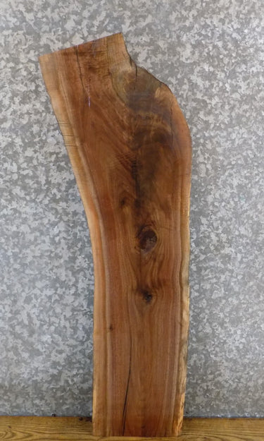 Salvaged Live Edge Black Walnut Accent/Entry Table Top Slab 1758